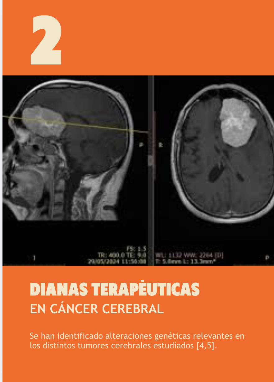 Revista Jóvenes con Investigadores